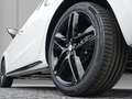 SEAT Ibiza FR BE 1.5 TSI 110kW/150PS 7-Gang-DSG Blanc - thumbnail 5