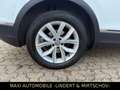 Volkswagen Tiguan 2.0 Highline-1.HAND-NAVI-LED-PANO-KAM-ACC Weiß - thumbnail 5