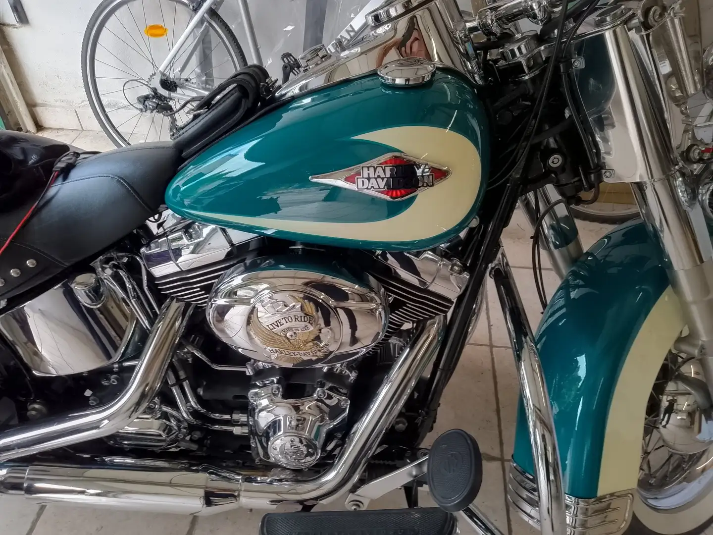 Harley-Davidson Heritage Softail Verde - 2