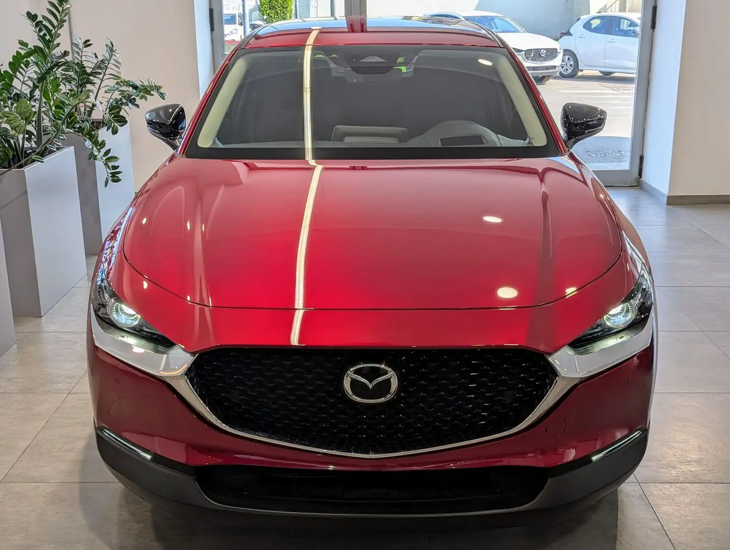 Mazda CX-30 e-Skyactiv-G M Hybrid 2WD Homura Rosso - 2