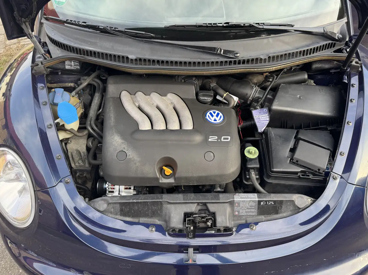Volkswagen Beetle Highline, foto 12