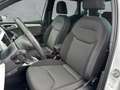 SEAT Arona XCELLENCE 1.0 TSI 81 KW (110 PS) 6-GANG AHK-abnehm Blanc - thumbnail 10
