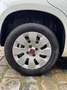 Fiat Panda Pop/KLIMA/38000KM!!!/ Weiß - thumbnail 14