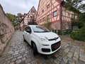 Fiat Panda Pop/KLIMA/38000KM!!!/ Weiß - thumbnail 5