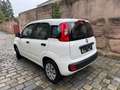Fiat Panda Pop/KLIMA/38000KM!!!/ Weiß - thumbnail 3