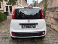 Fiat Panda Pop/KLIMA/38000KM!!!/ Weiß - thumbnail 4