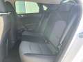 Kia Ceed / cee'd ceed 1,5 TGDI Silber + P2 Bianco - thumbnail 24
