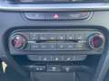 Kia Ceed / cee'd ceed 1,5 TGDI Silber + P2 Bianco - thumbnail 18