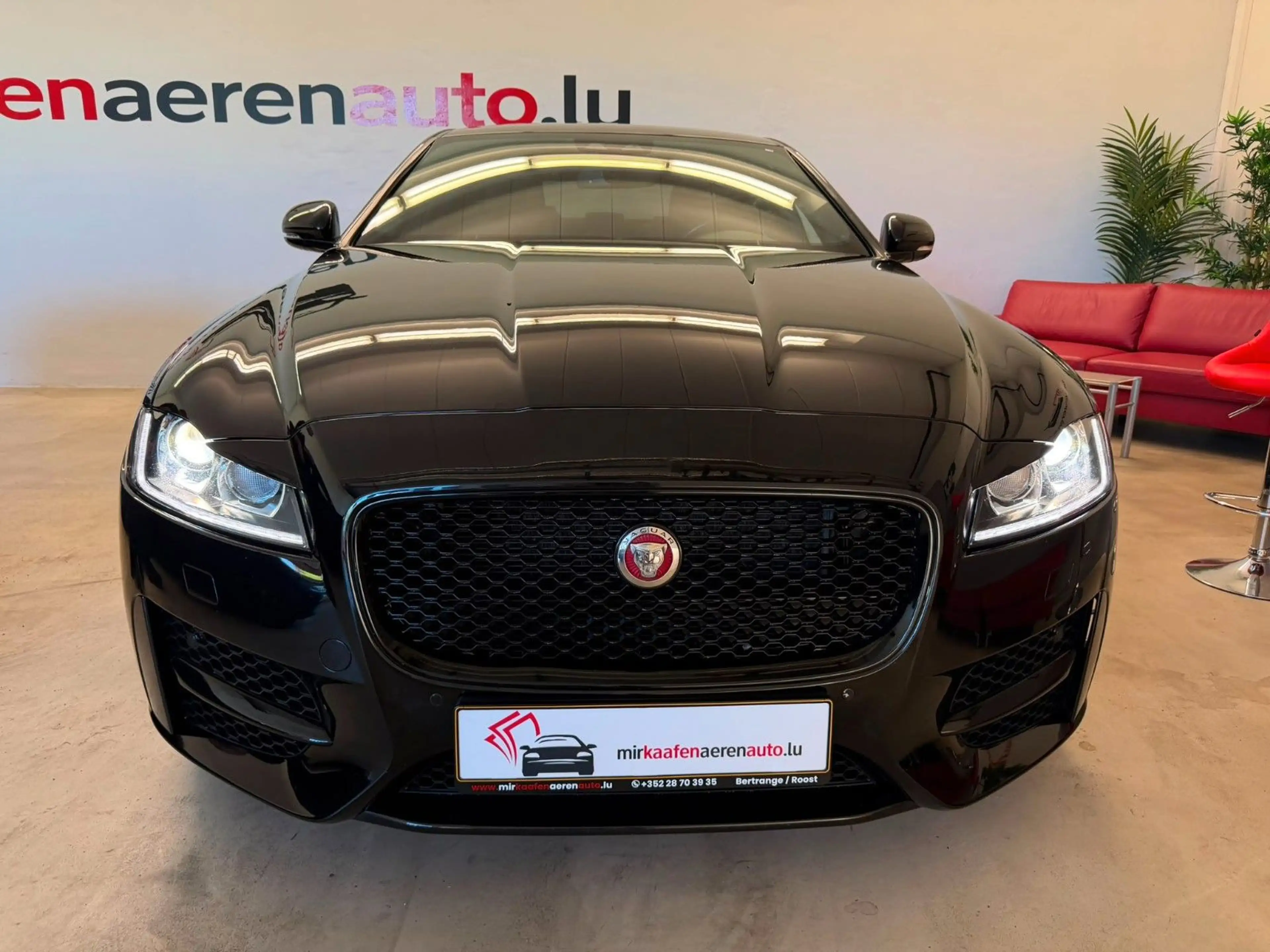 Jaguar XF R-Sport**NAVI**LEDER**R-KAMERA**SHZ** — photo 2