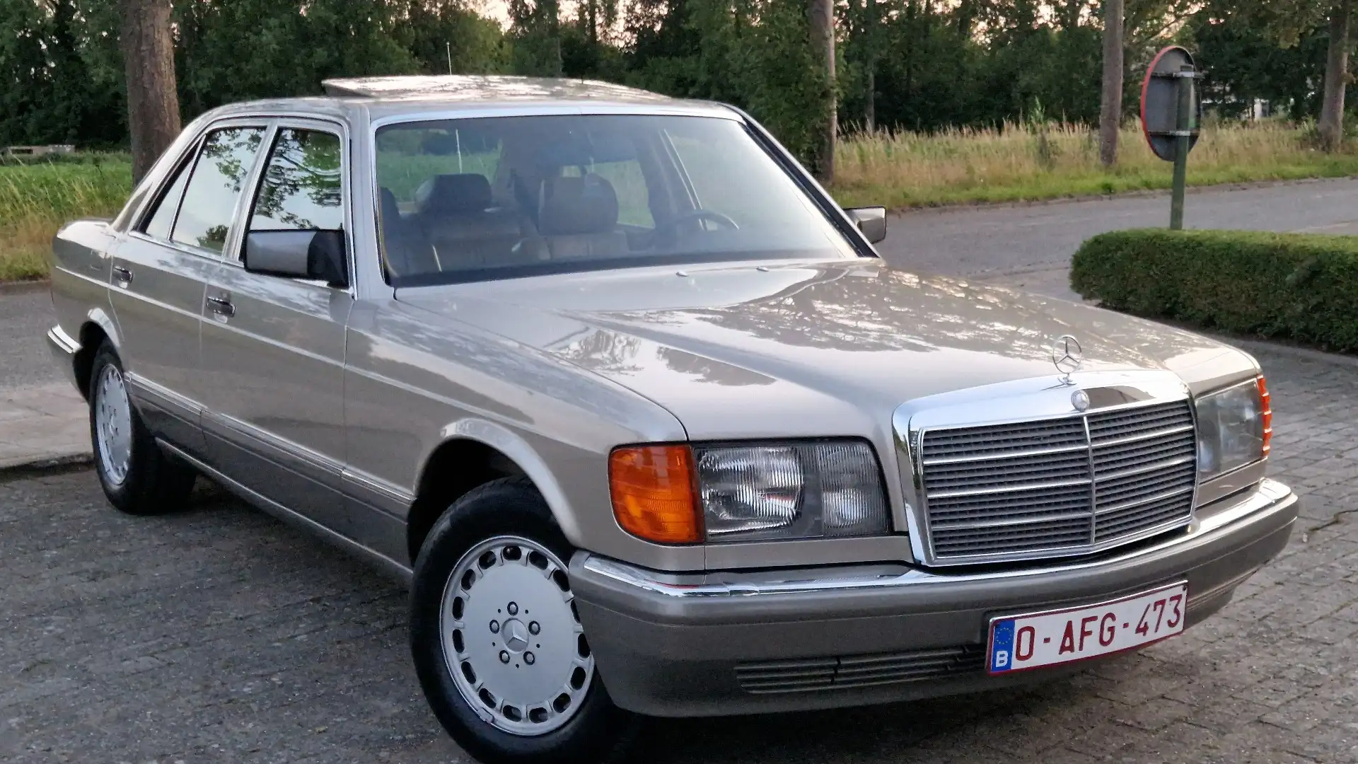 Mercedes-Benz S 420 SE Сірий - 1