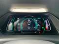 Hyundai IONIQ Trend-Paket Elektro Navi Kamera Grijs - thumbnail 23