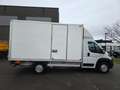 Peugeot Boxer (Stock ID 72501) Blanc - thumbnail 8