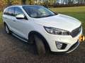 Kia Sorento 2.2 CRDi AWD Aut. Platinum Edition -  top, Hu neu! Weiß - thumbnail 3