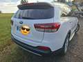 Kia Sorento 2.2 CRDi AWD Aut. Platinum Edition -  top, Hu neu! Weiß - thumbnail 6