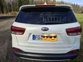 Kia Sorento 2.2 CRDi AWD Aut. Platinum Edition -  top, Hu neu! Weiß - thumbnail 8
