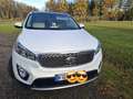 Kia Sorento 2.2 CRDi AWD Aut. Platinum Edition -  top, Hu neu! Weiß - thumbnail 2
