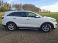 Kia Sorento 2.2 CRDi AWD Aut. Platinum Edition -  top, Hu neu! Weiß - thumbnail 4