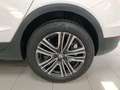 SEAT Arona 1.0 TSI S&S X-Perience Special Edition 115 Blanco - thumbnail 8