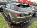 Land Rover Range Rover Sport Range Rover Sport 3.0 SD V6 Hybride - BVA  2013 Au Braun - thumbnail 2