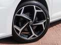 Volkswagen Polo 1.5 TSI Highline Business R-Line | Pano | ACC | Ap Blanco - thumbnail 16