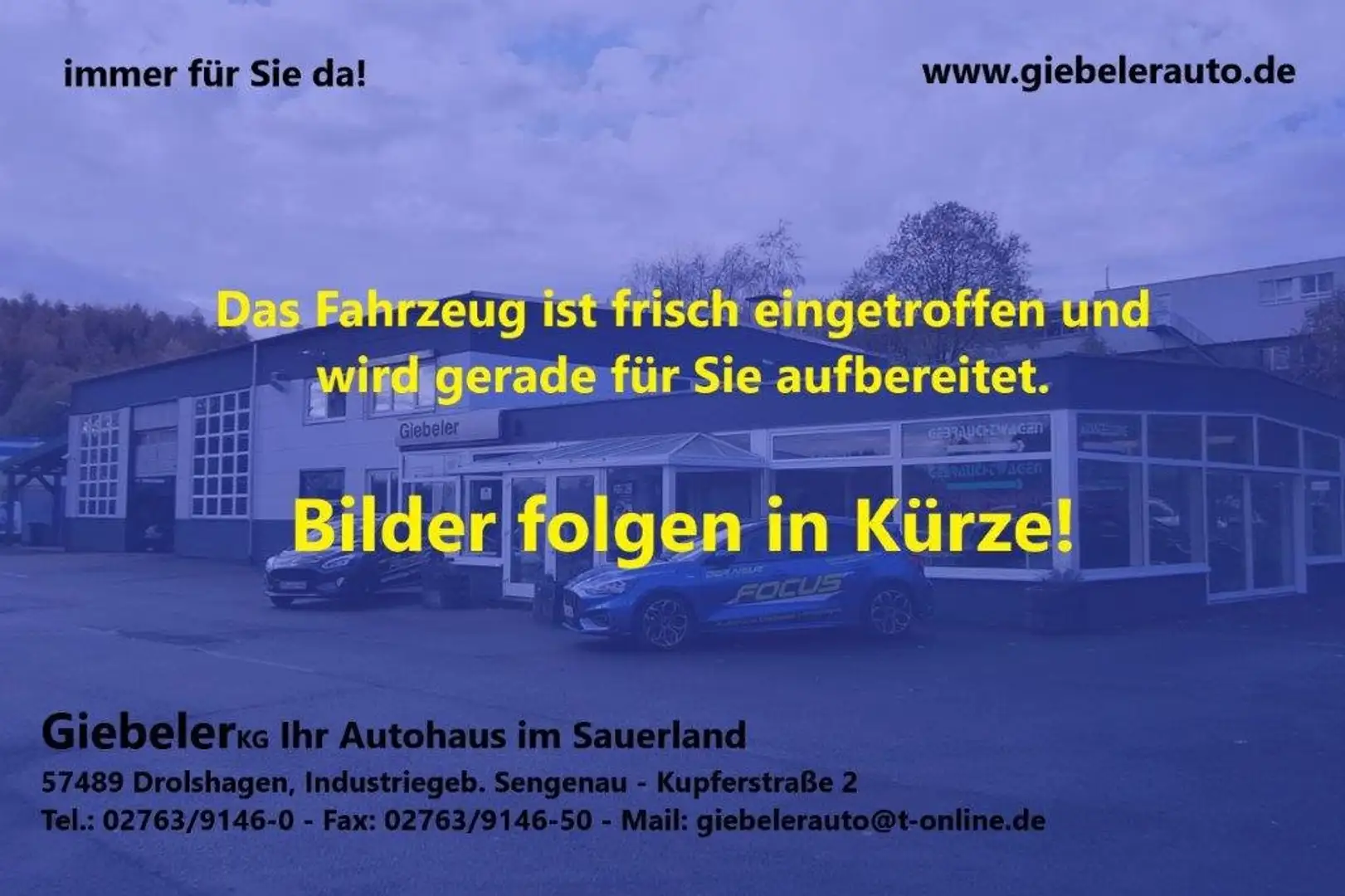 Ford Galaxy Business *AHK*Winterpaket*Navi*PDC*Alu*7-Sitzer* Bleu - 1