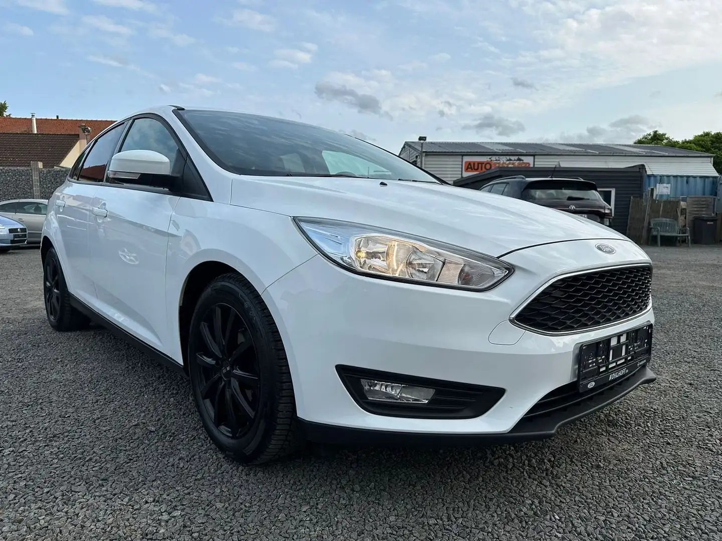 Ford Focus Business  Navi Winter-Paket Biały - 1