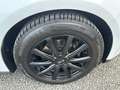 Ford Focus Business  Navi Winter-Paket Biały - thumbnail 30