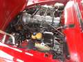 Mercedes-Benz 230 SL Pagode - gut und günstig und totschick! Rojo - thumbnail 11