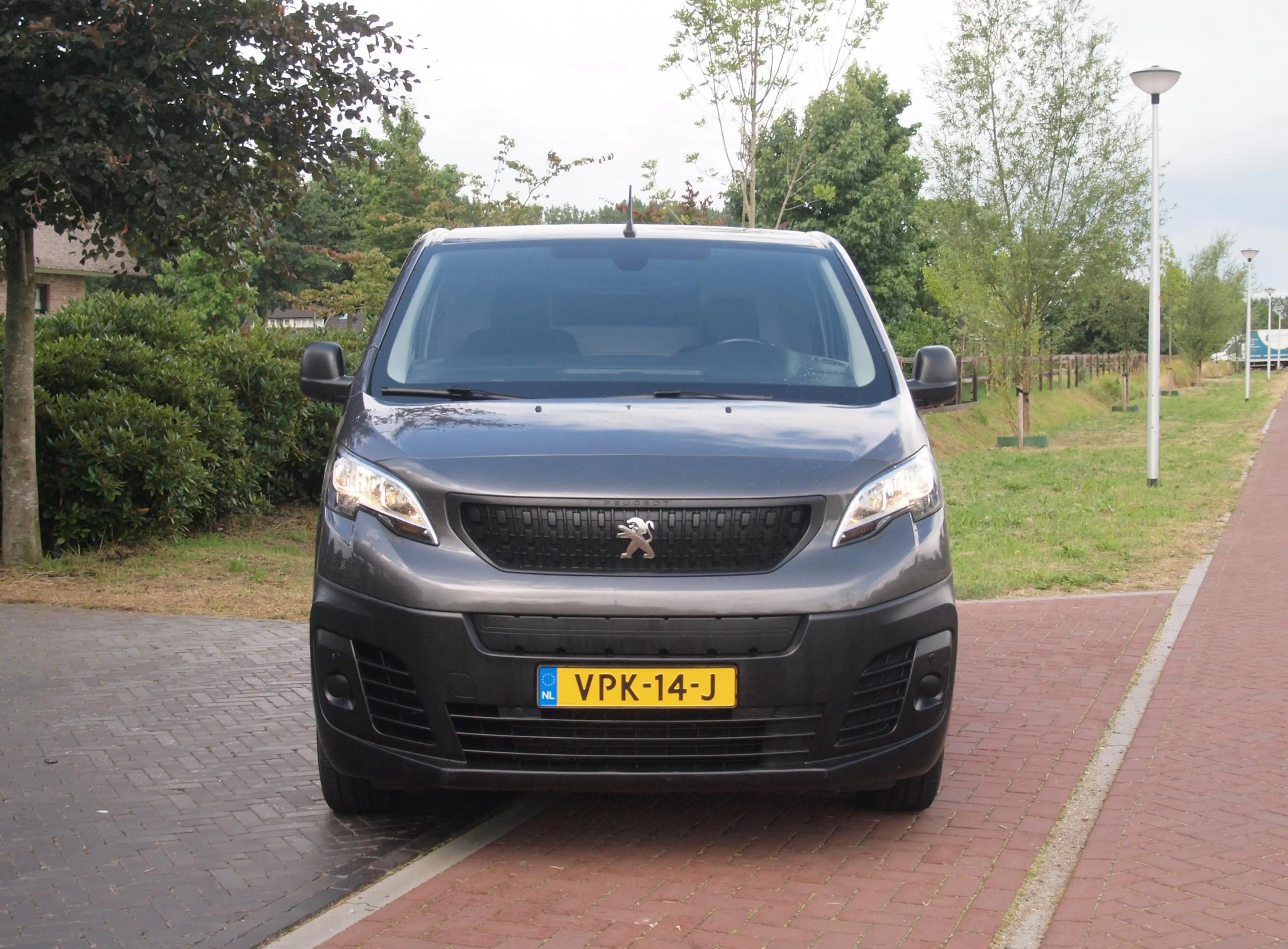 Peugeot e-Expert Standard Premium 75 kWh | Side bars | Apple Carpla — photo 5