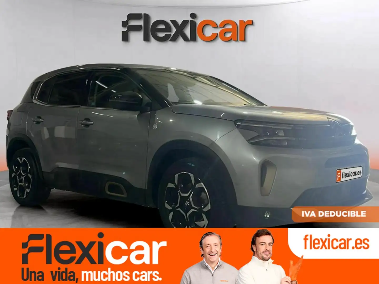 Citroen C5 Aircross BlueHDi S&S Max EAT8 130 Gris - 1