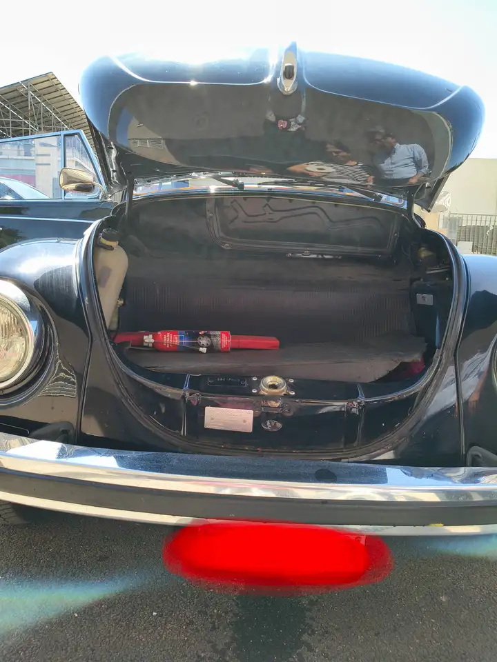 Volkswagen Maggiolino, foto 3