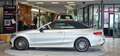 Mercedes-Benz C 220 d Cabrio AMG-Paket Aut. *Burmester*Spiegel-Paket* Silber - thumbnail 7