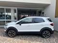 Ford EcoSport 1.0 ecoboost Active s&s 125 cv UNICO PROPRIETARIO Bianco - thumbnail 3