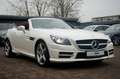 Mercedes-Benz SLK 250 CDI Roadster AMG-LINE|LEDER ROT|HARMAN Blanc - thumbnail 13