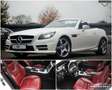 Mercedes-Benz SLK 250 CDI Roadster AMG-LINE|LEDER ROT|HARMAN Blanc - thumbnail 1
