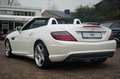 Mercedes-Benz SLK 250 CDI Roadster AMG-LINE|LEDER ROT|HARMAN Blanc - thumbnail 7