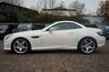 Mercedes-Benz SLK 250 CDI Roadster AMG-LINE|LEDER ROT|HARMAN Blanc - thumbnail 6