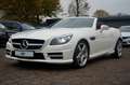 Mercedes-Benz SLK 250 CDI Roadster AMG-LINE|LEDER ROT|HARMAN Blanc - thumbnail 4