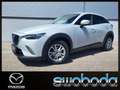 Mazda CX-3 G120 Attraction *8fach bereift* Weiß - thumbnail 1