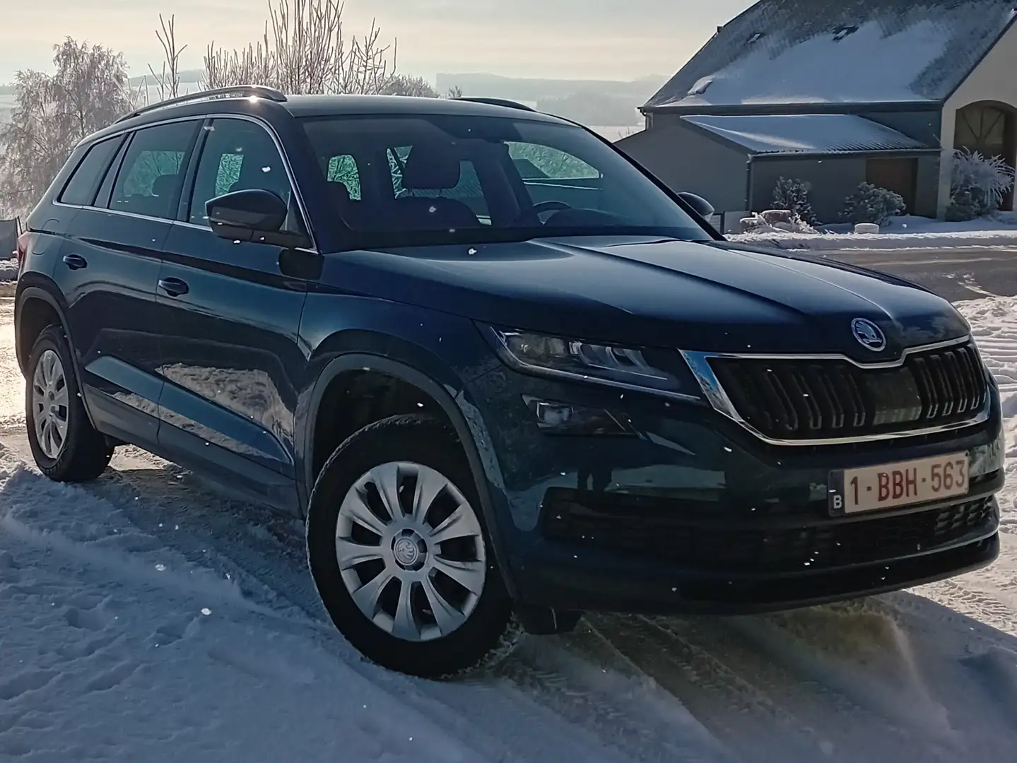 Skoda Kodiaq 2.0 CR TDi Clever 7pl. DSG Blauw - 2