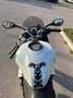 Ducati SuperSport S Bianco - thumbnail 9