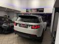 Land Rover Discovery Sport Discovery .Sport 2.0 TD4 150 CV SE Alb - thumbnail 15