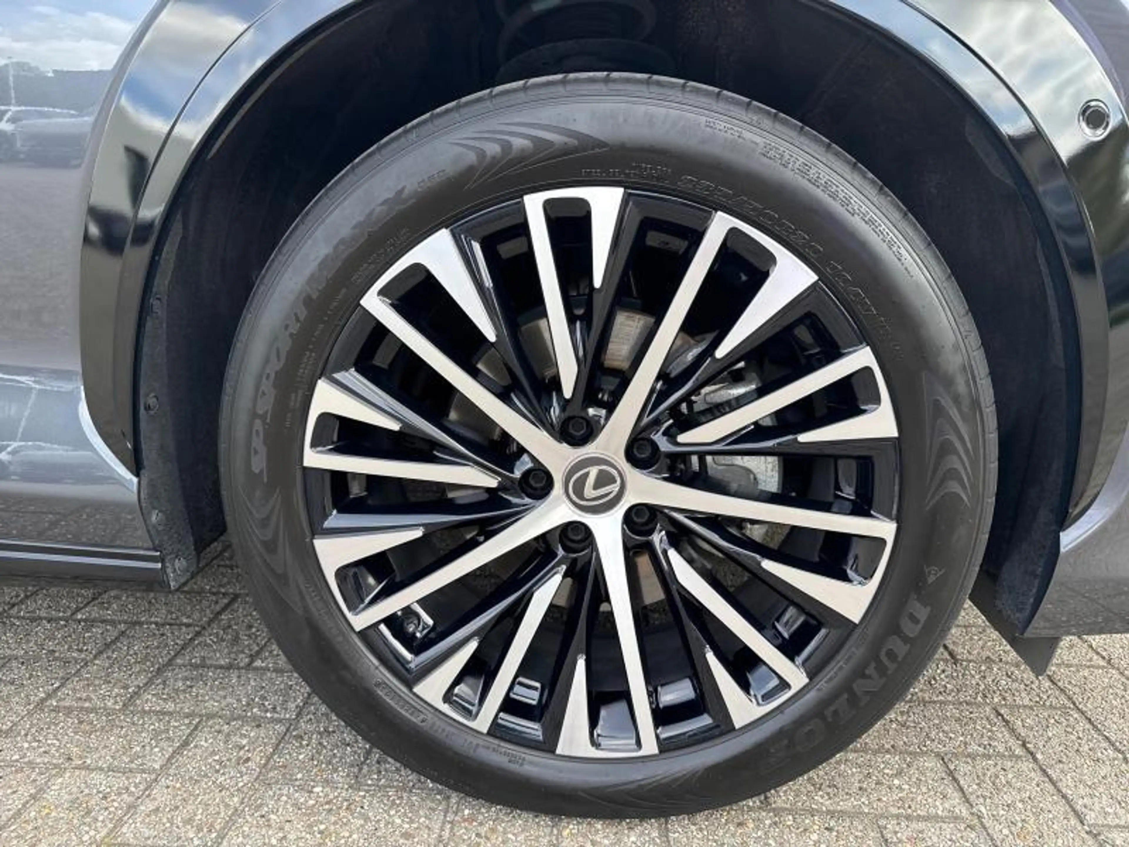Lexus RZ Privilege Line + Pano — photo 13