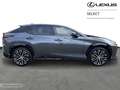 Lexus RZ Privilege Line + Pano Gris - thumbnail 14