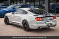 Ford Mustang Pack Shelby Tout compris hors homologation 4500e Gris - thumbnail 13