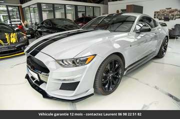 Pack Shelby Tout compris hors homologation 4500e