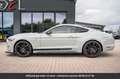 Ford Mustang Pack Shelby Tout compris hors homologation 4500e Gris - thumbnail 11