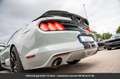 Ford Mustang Pack Shelby Tout compris hors homologation 4500e Gris - thumbnail 7