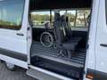 Mercedes-Benz Sprinter III 311 Tourer AMF Rollstuhlumbau, Rampe, Rollstuh Blanc - thumbnail 5