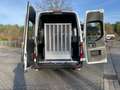 Mercedes-Benz Sprinter III 311 Tourer AMF Rollstuhlumbau, Rampe, Rollstuh Blanc - thumbnail 18